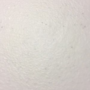 Meet your Posher, Roberto